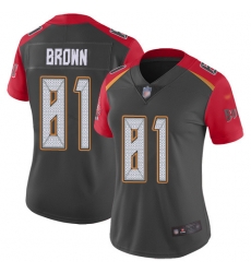 Women's Tampa Bay Buccaneers 81 Antonio Brown Gray Stitched NFL Limited Inverted Legend Jersey