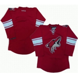 Phoenix Coyotes Blank Red Jerseys